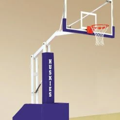 Bison T-Rex Portable Basketball Systems