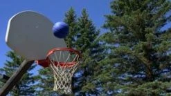 Performer Plus Rubber Basketballs 27 Performer Plus Rubber Basketballs -Baseball Sales Store 955107548 c4f5ec226e36a65e8496d1e3190b0cc26d0bb139c284b93765dc305baec5af7f d 295x166