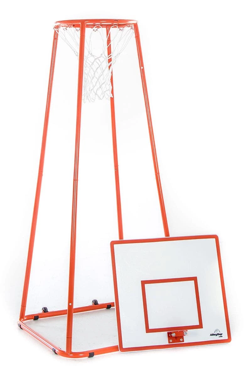 AlleyOop Goals 12 AlleyOop Goals - Image 10