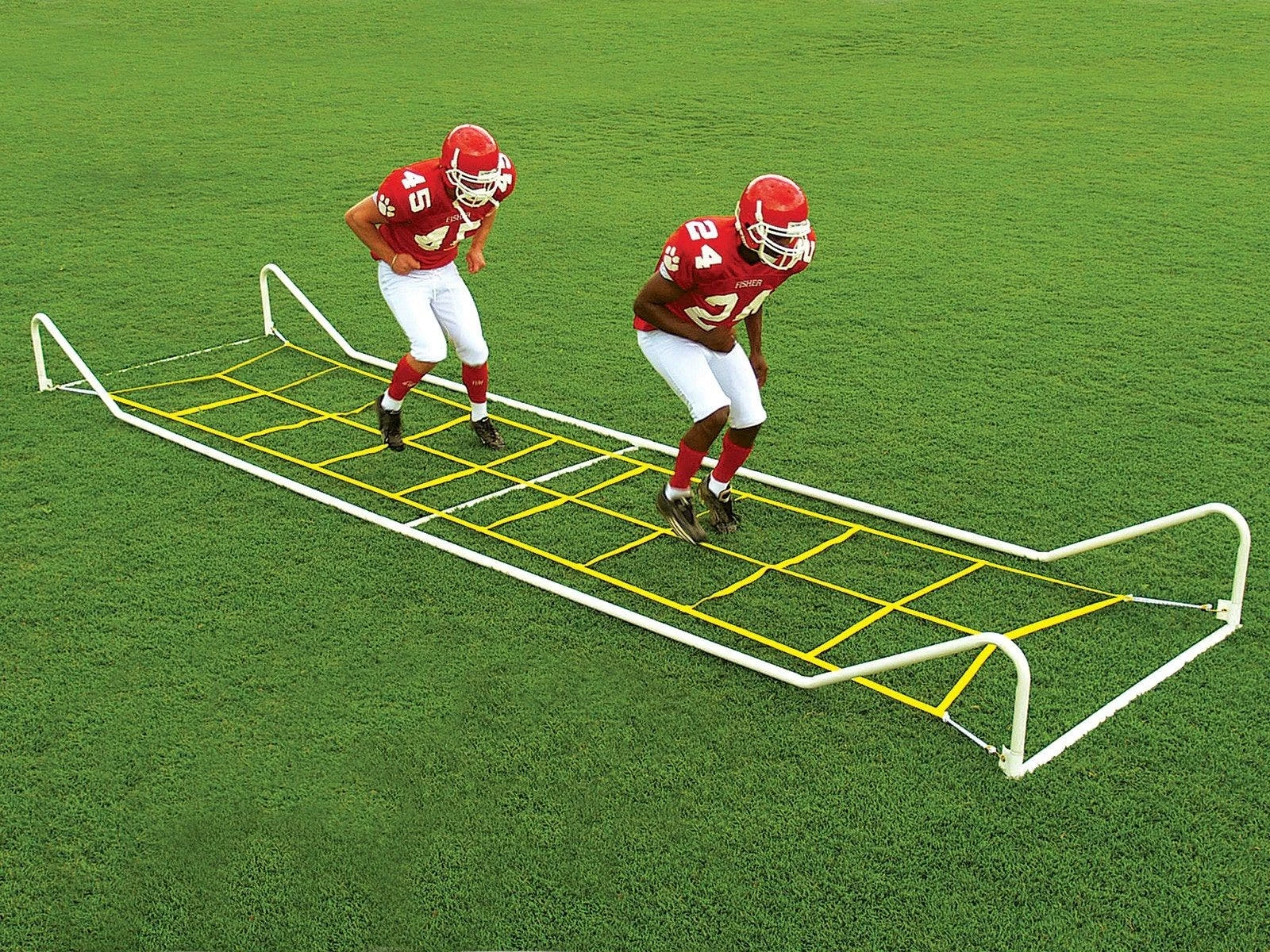 Fisher Adjustable Agility Trainer 6 Fisher Adjustable Agility Trainer - Image 4