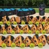 ClassPlus Glove Packs -Baseball Sales Store g 42152 ClassPlusGlovePk