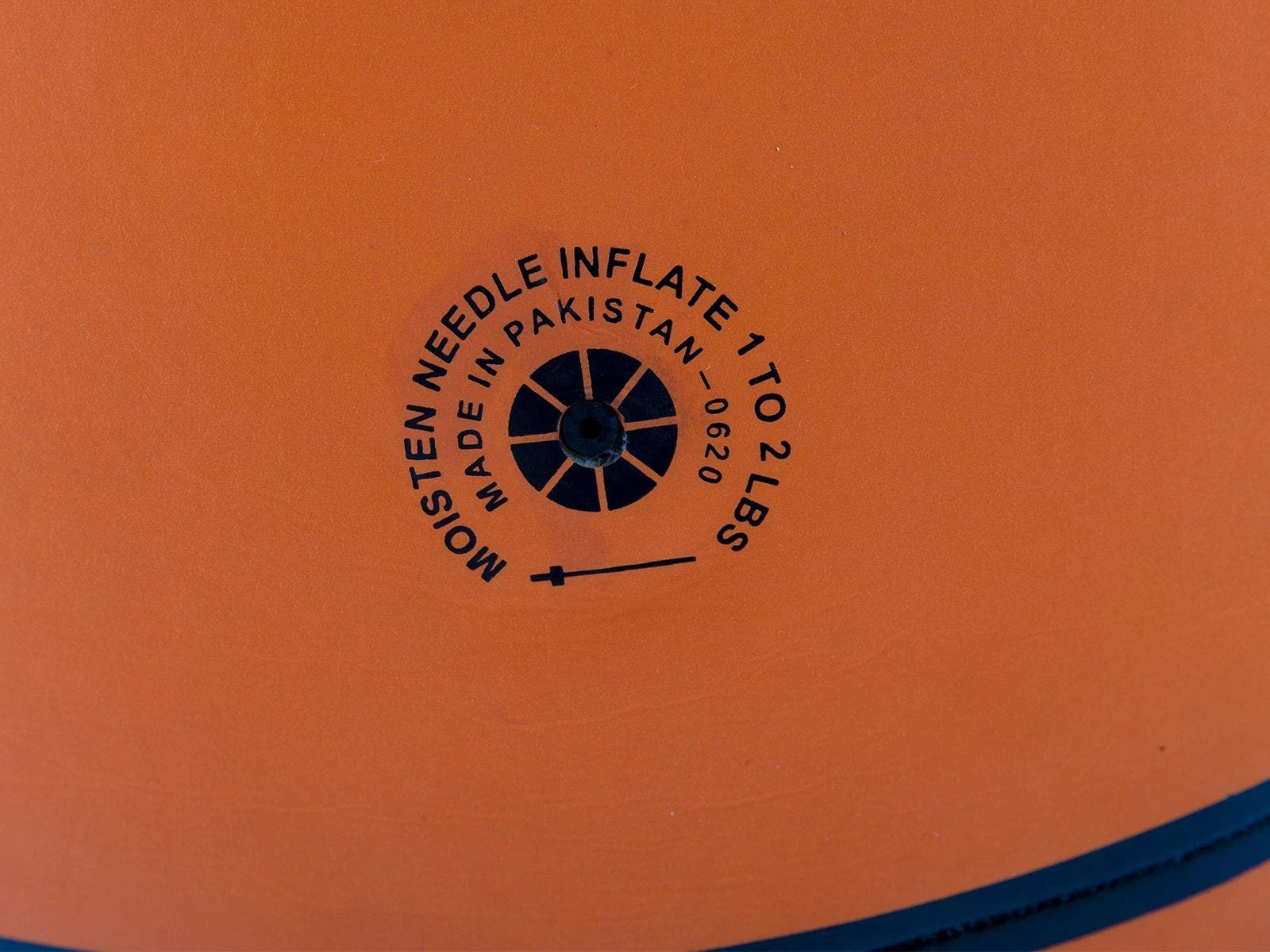 Gopher Biggie! Basketball 6 Gopher Biggie! Basketball - Image 4