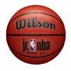 Wilson Jr. NBA Indoor & Outdoor Composite Basketballs